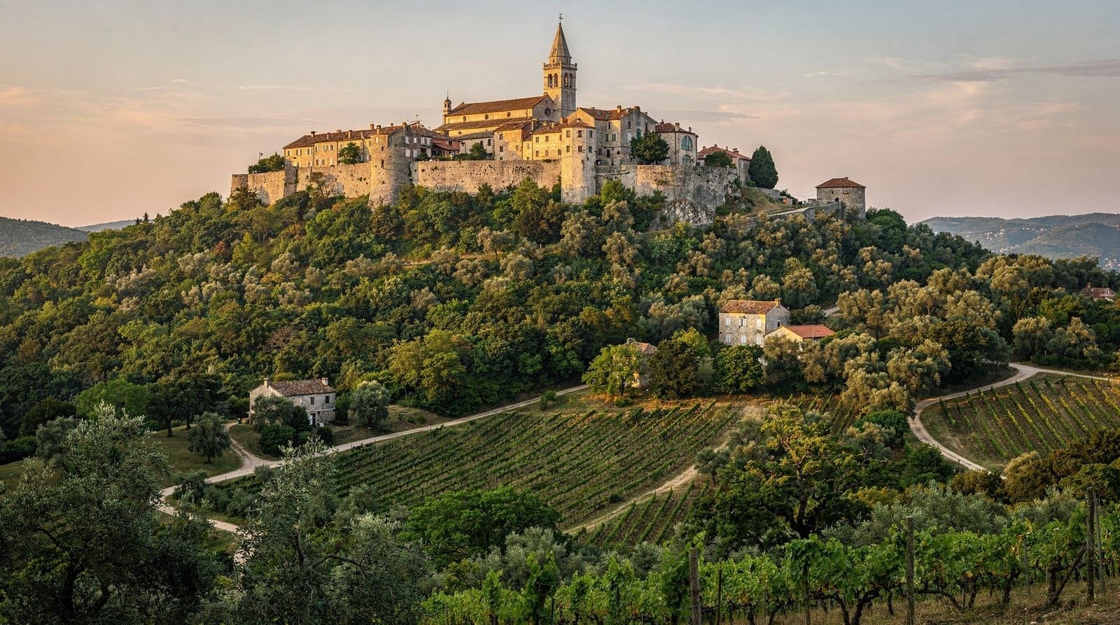Motovun travel guide